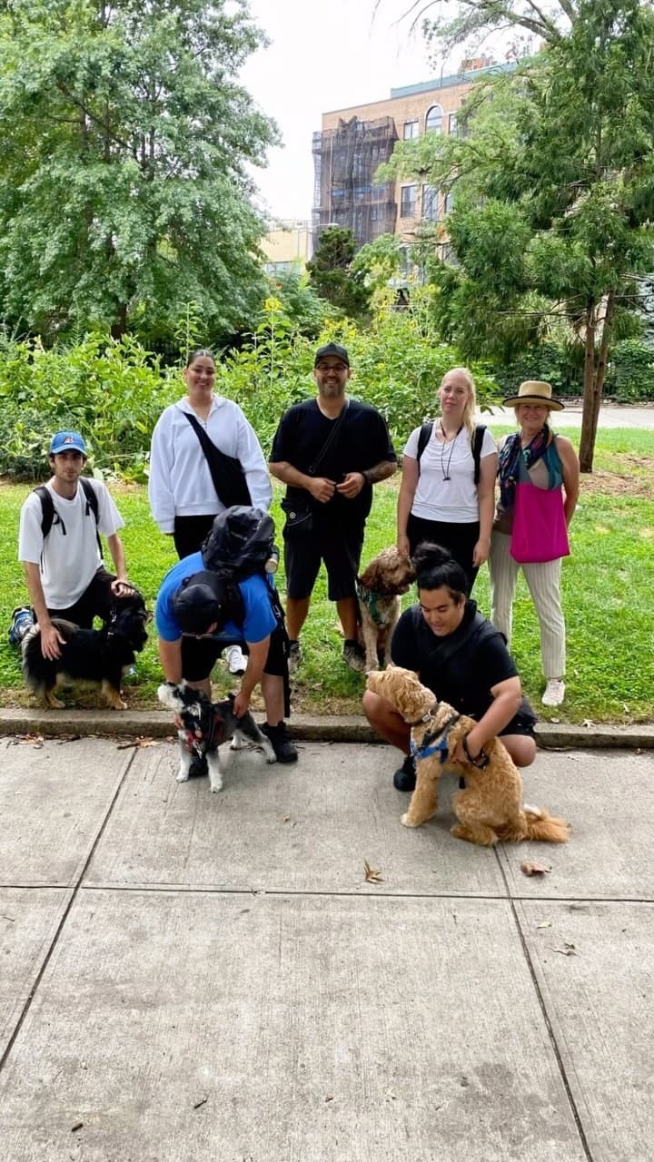 The Not The Rug walkers and their dogs gathered in a Williamsburg park