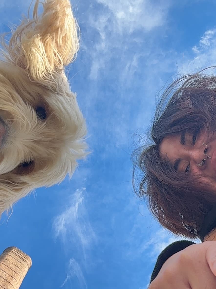 A walker and a fluffy cream doodle looking down into the camera against a blue sky