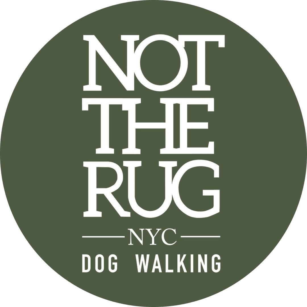 Not The Rug NYC dog walking badge
